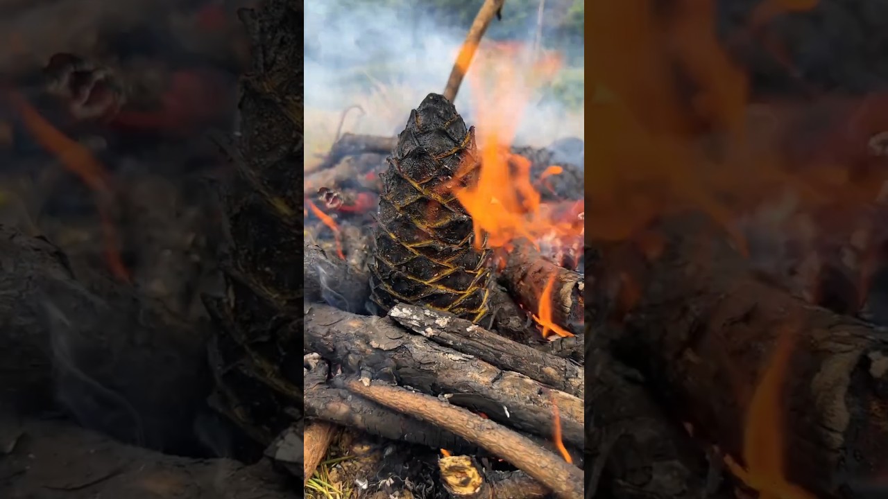 Original Title & Thumbnail