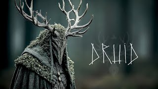 Whispers Of The North D R U I D