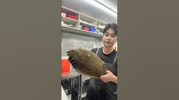 #광어 오로시 phi lê cá bơn dẹt Hàn Quốc #shorts #short #sashimi