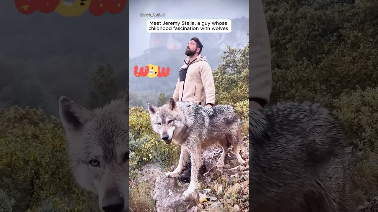 This man is a best friend with wolf 