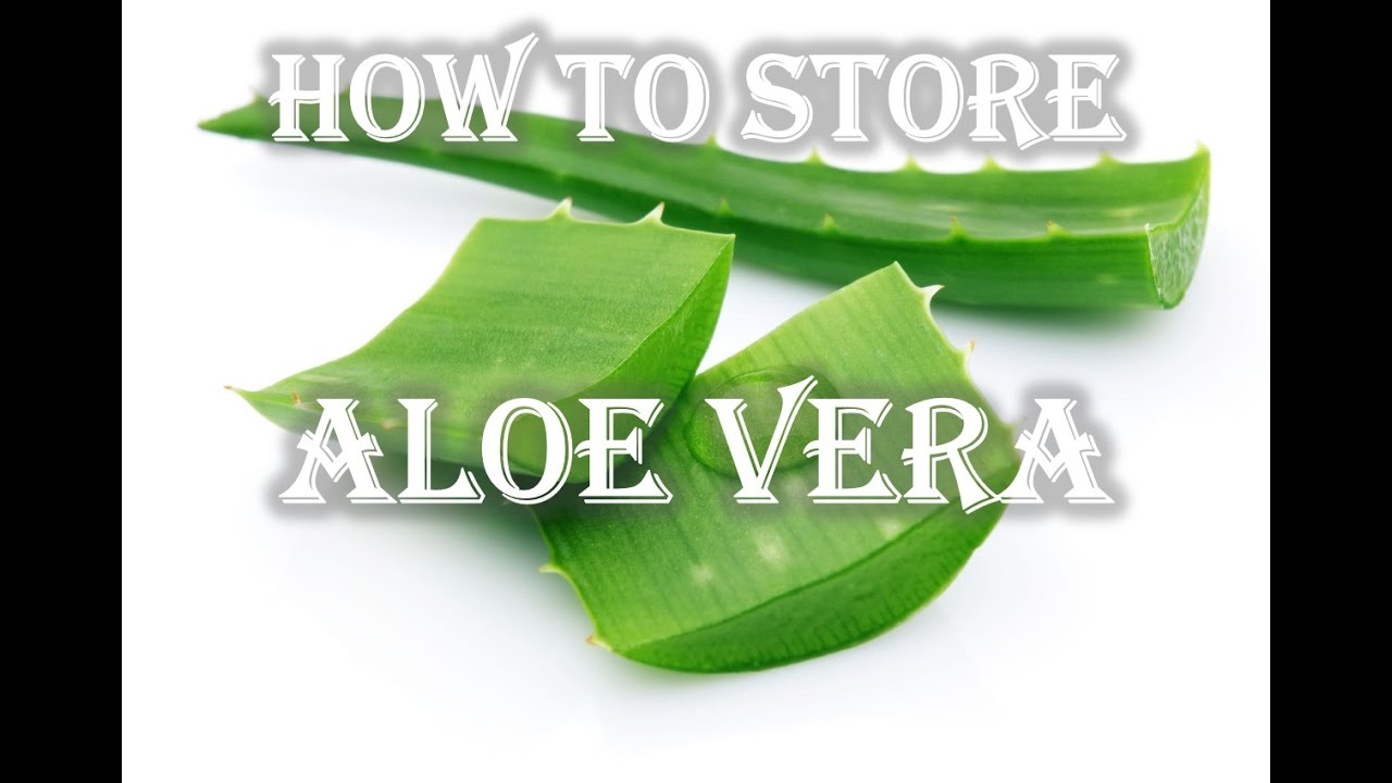 Easy Way Of Cutting And Storing Aloe Vera For Future Use Youtube