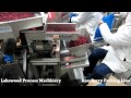 Raspberry Packing Line / Blackberry Packing Line, Lakewood Process Machinery