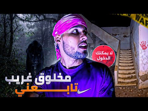 مشيت لمكان لسحرو فيه لدري صغير مخلوق مرعب تابعني غنتكريسا خرجات ليا عصابة بالسيوفا