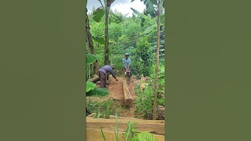 techniques and skills that require precision in splitting wood #shorts