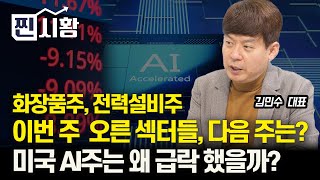 [#찐시황] 화장품주, 전력설비주! 이번 주 오른 섹터들, 다음 주는 어떨까? / 미국 AI주의 주가 급락, 이유는 무엇일까? | 김민수 대표