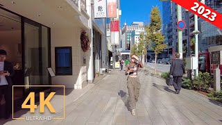 Tokyo, Japan 🇯🇵 Ginza To Tokyo Station | Street Walk | City Tour | 東京散歩 | Virtual Walking 2023