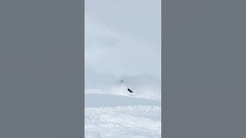 Best Ski-Doo Conditions Ever?