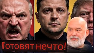 ⚡ШЕЙТЕЛЬМАН: Лукашенко устроил ИСТЕРИКУ Зеленскому! Трамп в бешенстве, готовит УДАР