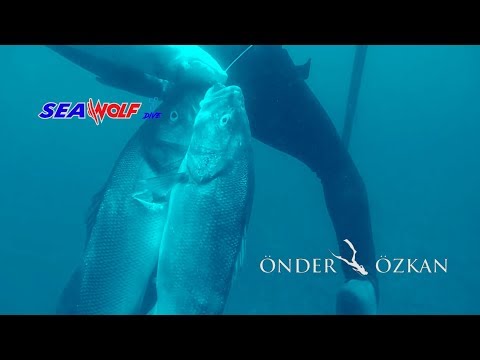 KALBİ DENİZDE ATANLARA