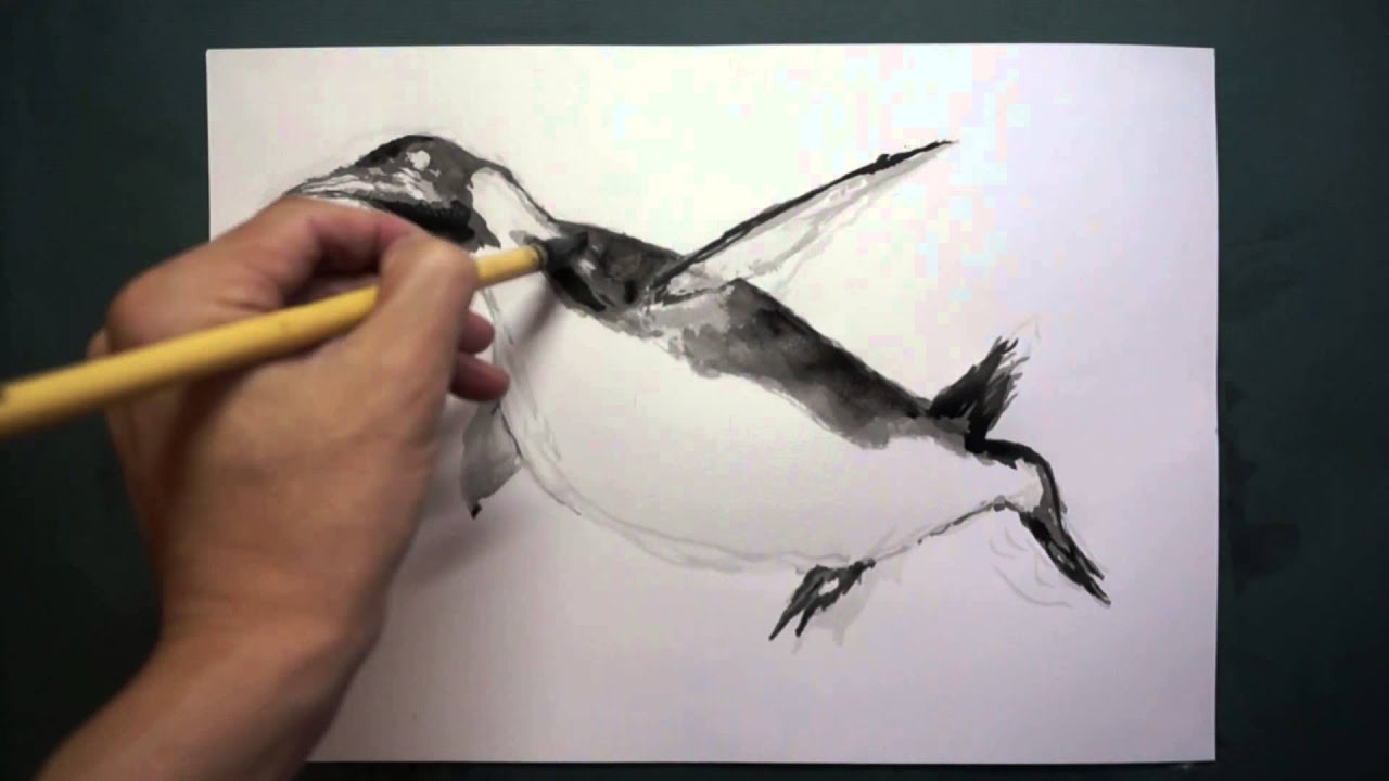 How To Draw 描き方 ペンギン Penguin を墨でデッサン 8倍速 Youtube