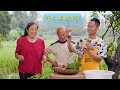 四伯说：在农村只有运气好到爆才能捡到这个鸡丝菇（鸡枞菌）