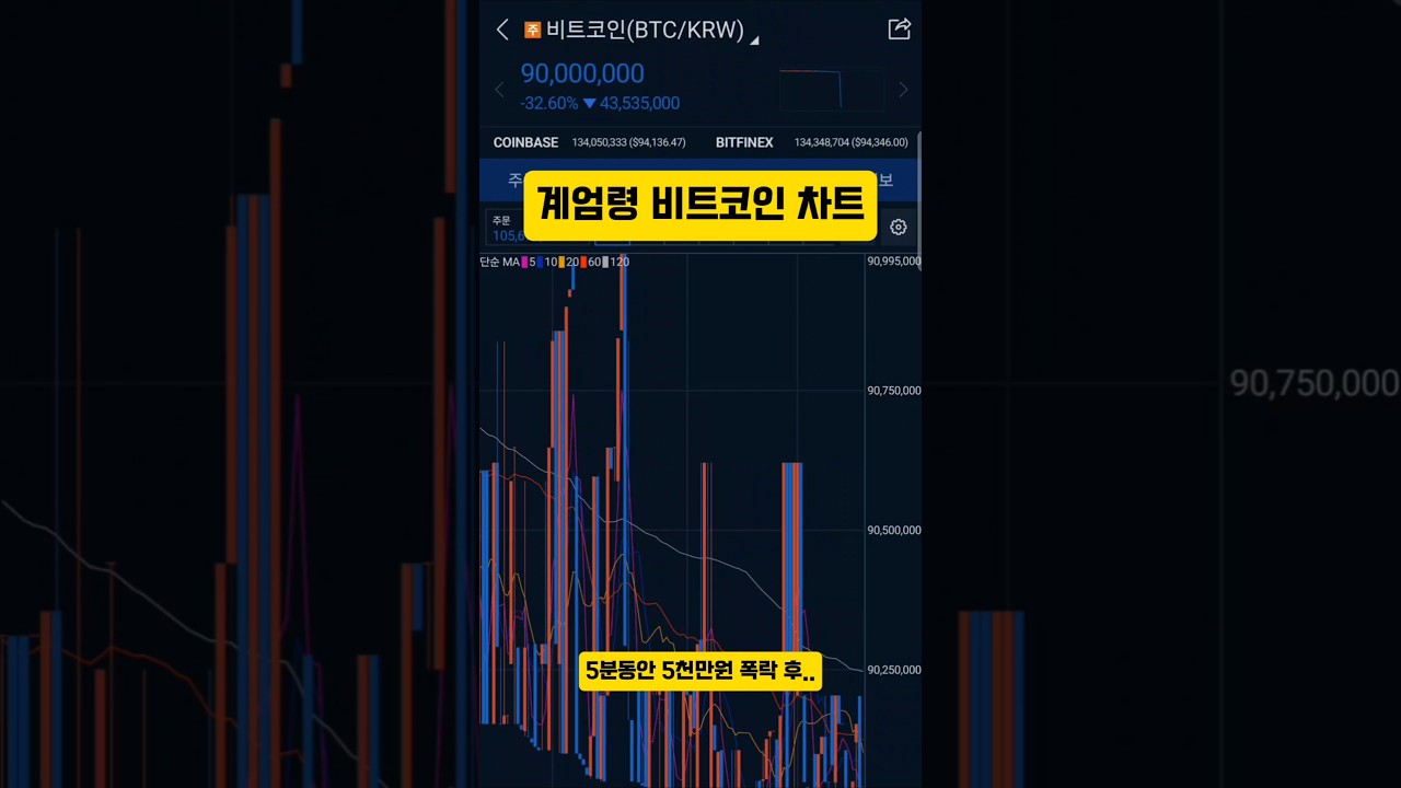 계엄령 비트코인 (65) 사진
