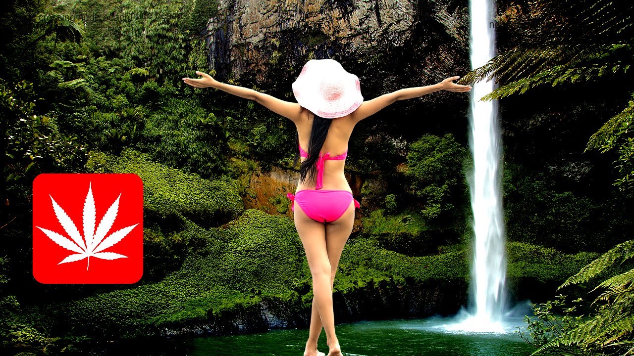 Pot Farm Discovered in California Wilderness Marijuana Plants