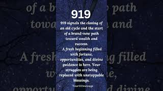 Famous The Old Ends, The New Riches Begin | 919 angel number meaning #shorts #manifest #lawofattraction Net Worth
