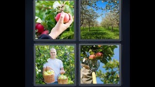 4 Bilder 1 Wort - Level 1325 [HD] (iphone, Android, iOS) screenshot 5
