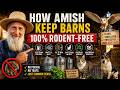 How the Amish Keep Mice Out of the Barn (Without Traps or Poison)