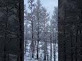 Через что ты прошла #adventure #природа#толькотызнаешь#мойпуть