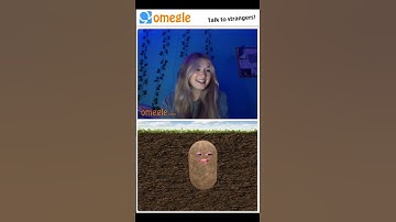 Treat all potato’s with respect