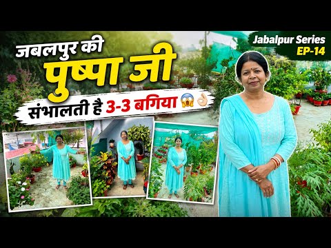 एक नहीं 3-3 बगिया संभालती है जबलपुर की पुष्पा जी 😱👌🏻 Jabalpur Garden Tour EP-14