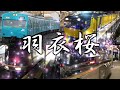羽衣桜【羽衣線×千本桜】