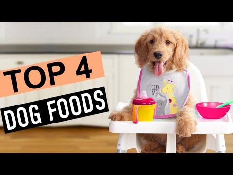 BEST 4: Dog Foods - YouTube