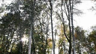 McKenzie River Trust: Protecting Special Lands in Western Oregon Net Worth