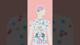 Chronischer #stress - wann zum Arzt?