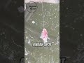 Kalau spot favorit kamu tiba tiba banyak orang mancing, biasanya kamu ngapain