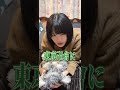 映画とかのエセ関西弁にも違和感感じる同志おる？？#マブエナ #姉弟の日常 #fyp