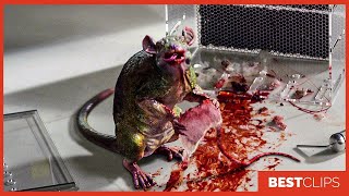 Lizard Mouse Scene The Amazing Spider-Man 2012 Movie Clip 4K