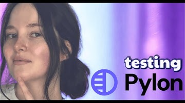 Pylon Review - B2B Service Tool Tested with 300 Real Tickets