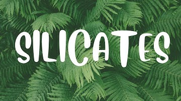 Silicates | P-Block Elements [Chapter 11] | Class 11 | Chemistry | Malayalam