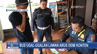 Viral, Sopir Bus Pariwisata Mengemudi Ugal-Ugalan Demi Buat Konten Sosmed