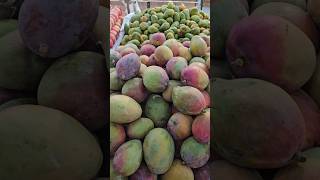 Very Cheap Appale mango #youtubeshort #food #trendingvideo #foodie #shorts