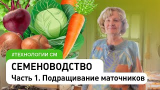 Семеноводство часть 1. Свои семена: лук, морковь, свёкла, капуста .Семеноводство без вырождения