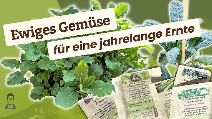 11 varieties of perennial vegetables without annual sowing