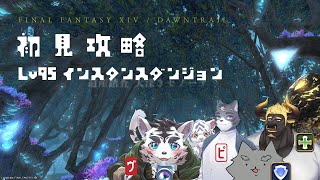 【FF14】95IDであばれタイガー🐅✨【虎丸玲音/黒鋼牛頭/劫野/ボリ先生】