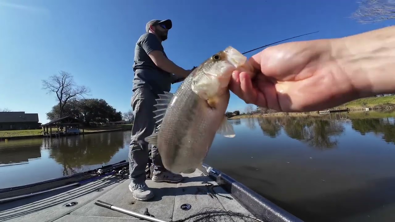 Bass fishing on Cane River (crankbait) part 3