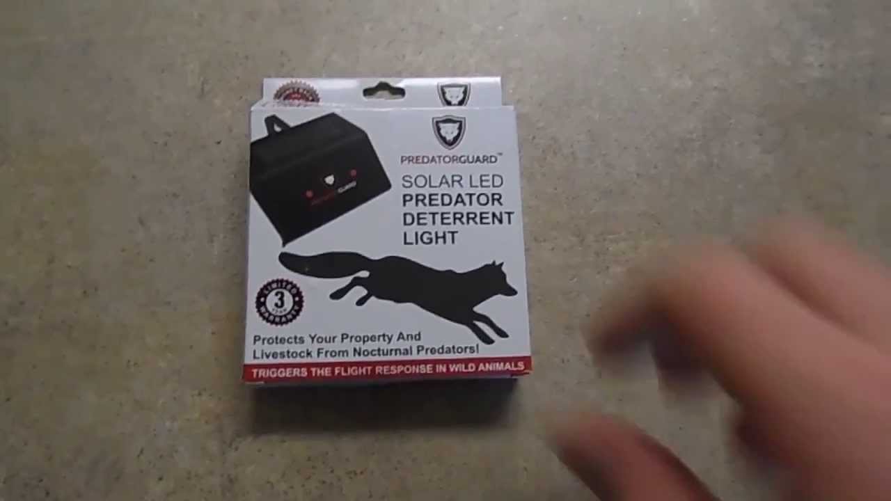 Predator Guard Deterrent Light Unboxing and Review Best Predator