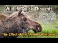 The Impact of the &quot;Animal Whisperer&quot;