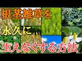 雑草対策|除草剤不要で根茎で増える雑草を永久に生えなくする方法