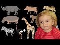 The Kids Picture Show Savanna Animals - Book Version Oskar's Video Response Response