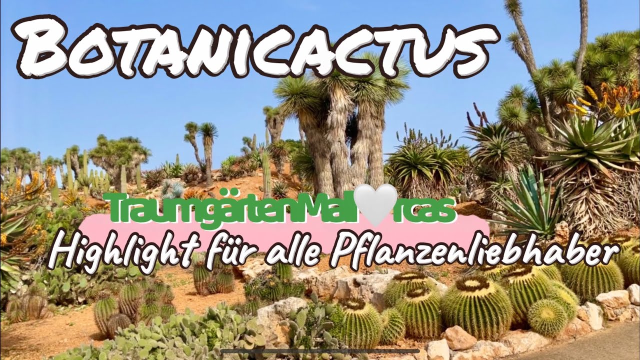 Ses Salines🌴🏖️MALLORCA island❤️BOTANICACTUS -Traumgärten Mallorcas🪴🌵Ausflugs-Tipp🇪🇸#mallorca