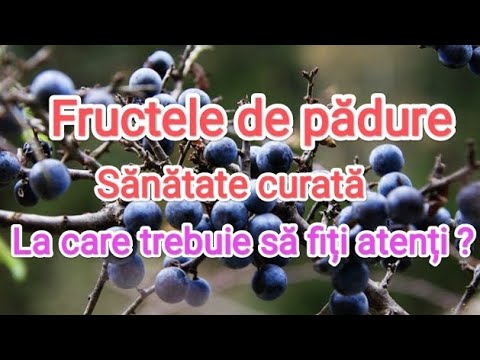 Video: Sunt comestibile fructele de pădure mătăsoase?