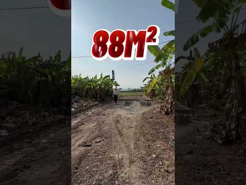 Lô đất kinh doanh được gần thị trấn #sieusaomoigioibds #batdongsan #bds #datgiare #shorts mới nhất 2023