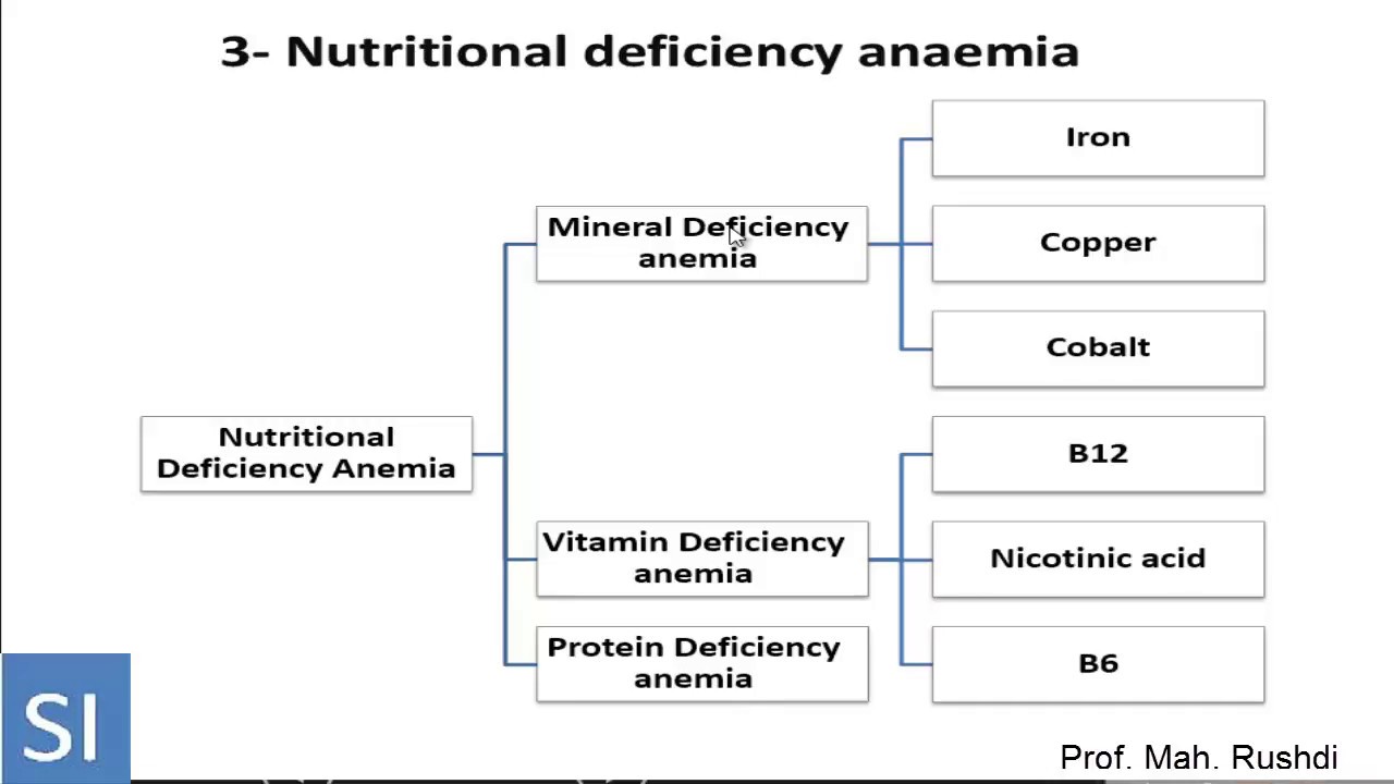 Classification Of Anemia Chart