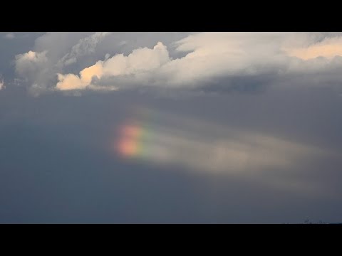 Toto sa nám naozaj stalo – príbeh, ktorý sme skutočne zažili, a číhanie na divé svine 😲