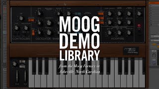 Minimoog Model D for macOS | Ableton Intro