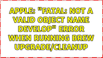 Apple: "fatal: Not a valid object name develop" error when running brew upgrade/cleanup