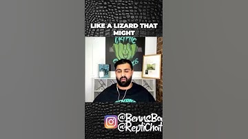 Are green tree pythons delicate? 🤔🤔🤔